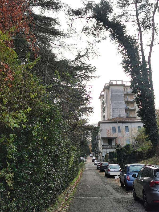 Lovely View Albizzate Bagian luar foto